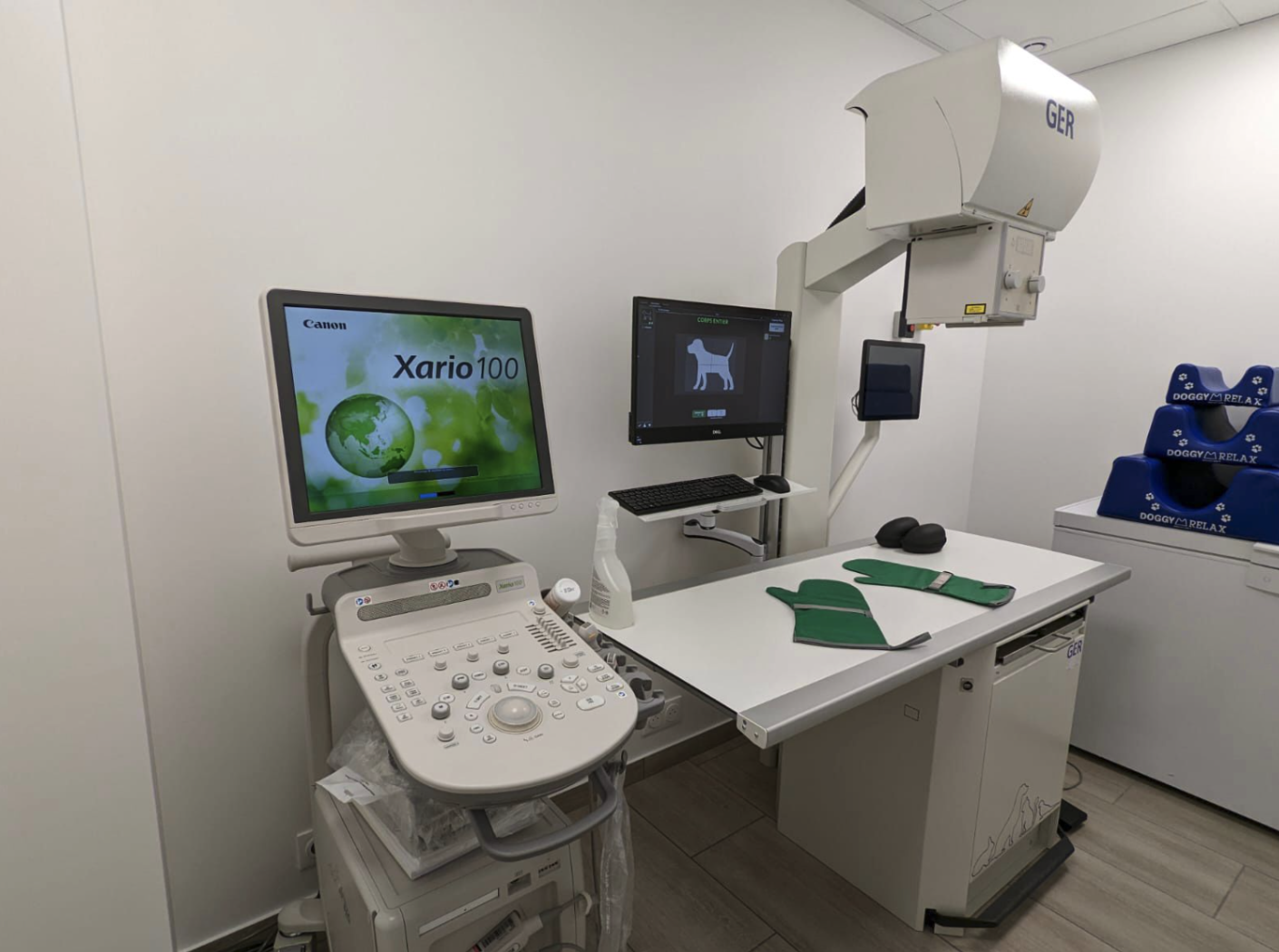 Radiographie
